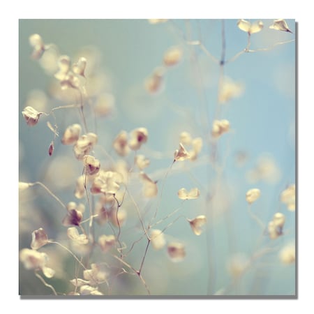 Trademark Fine Art Beata Czyzowska 'Little Secrets' Canvas Art, 24x24 BC0033-C2424GG